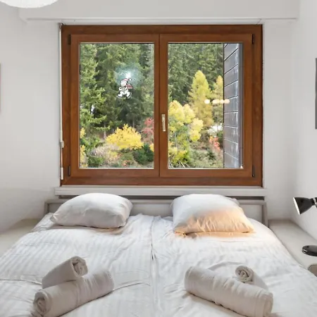 Crans-montana - Ski-in & Ski-out, 4 Pers Daire